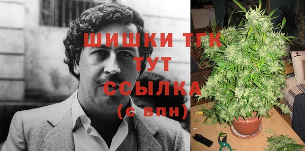 тгк Алексин